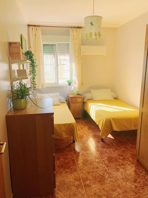 El Apartamento De Trini إشبيلية المظهر الخارجي الصورة